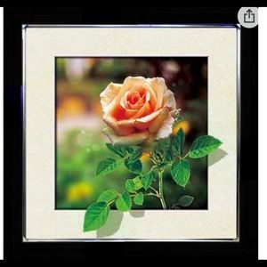 NEW Rose 3D Holographic Animated Picture 18”x18”